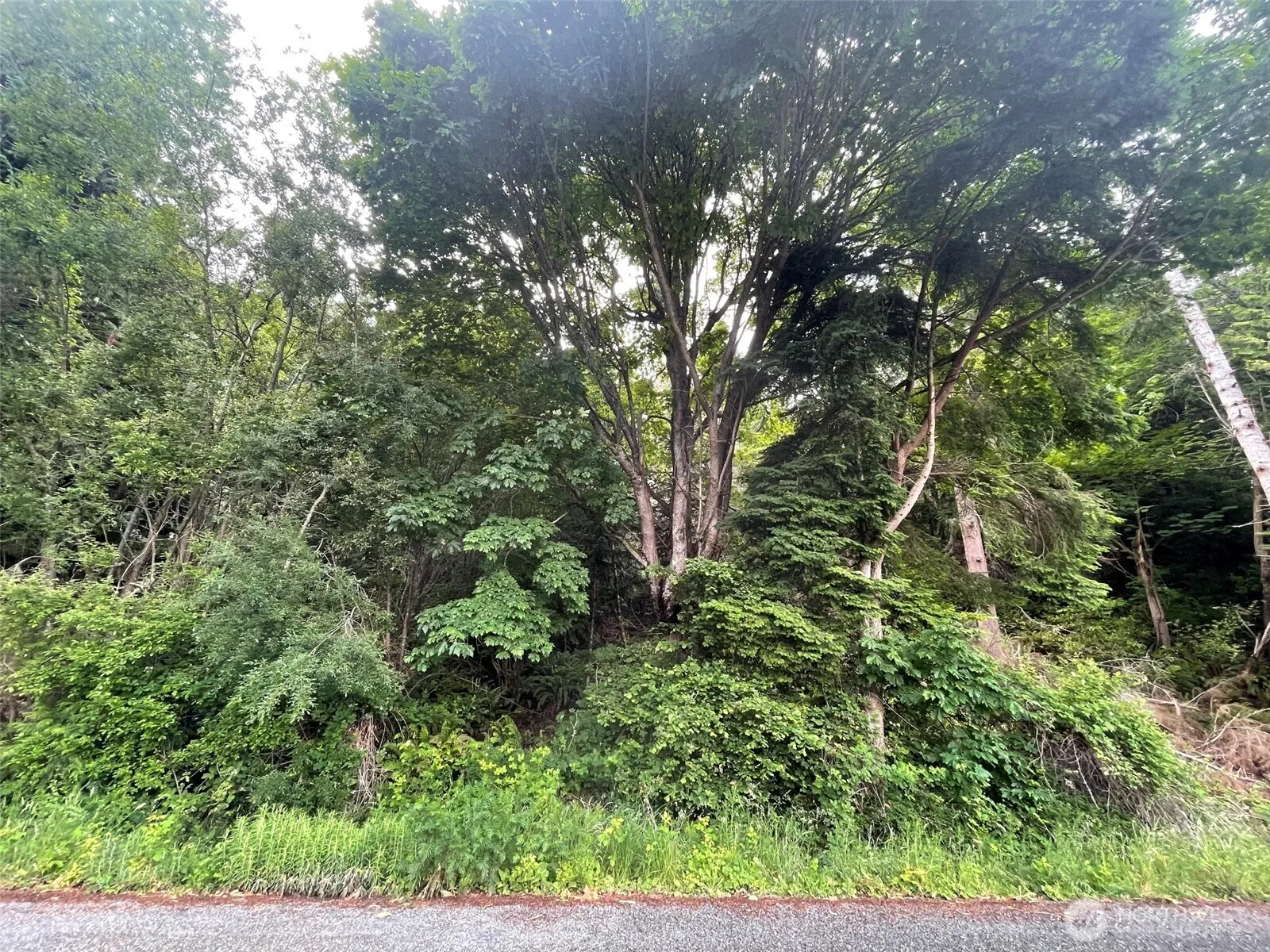 Property photo for 14544 Jura Way, Anacortes photo 5
