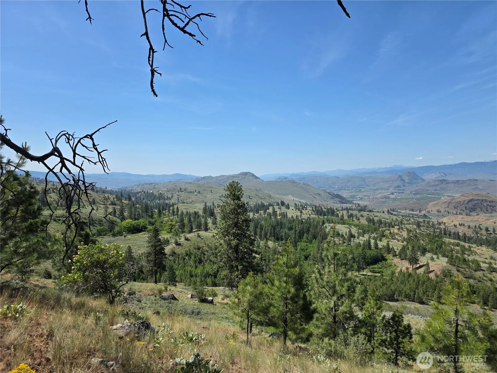 Property photo for 431 J Swanson Hill Road, Tonasket photo 3