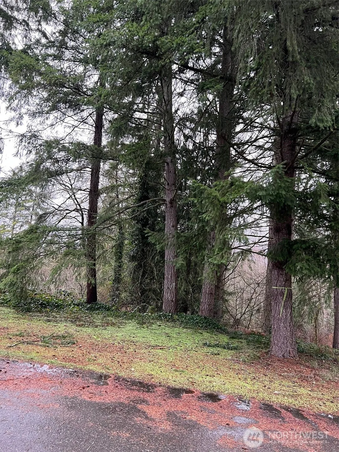 Property photo for 186 Xx Ne 161st Place, Woodinville photo 4