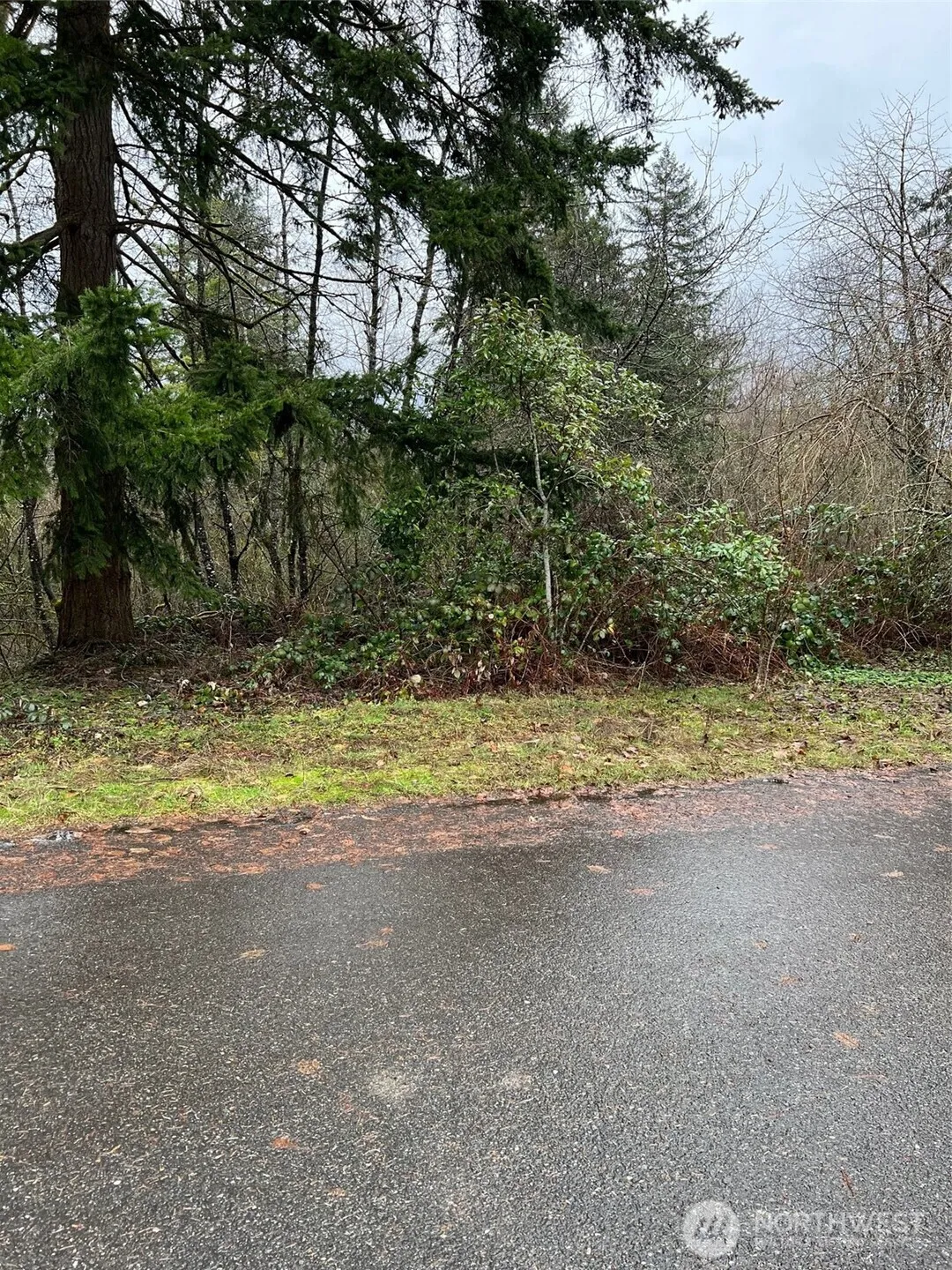 Property photo for 186 Xx Ne 161st Place, Woodinville photo 2