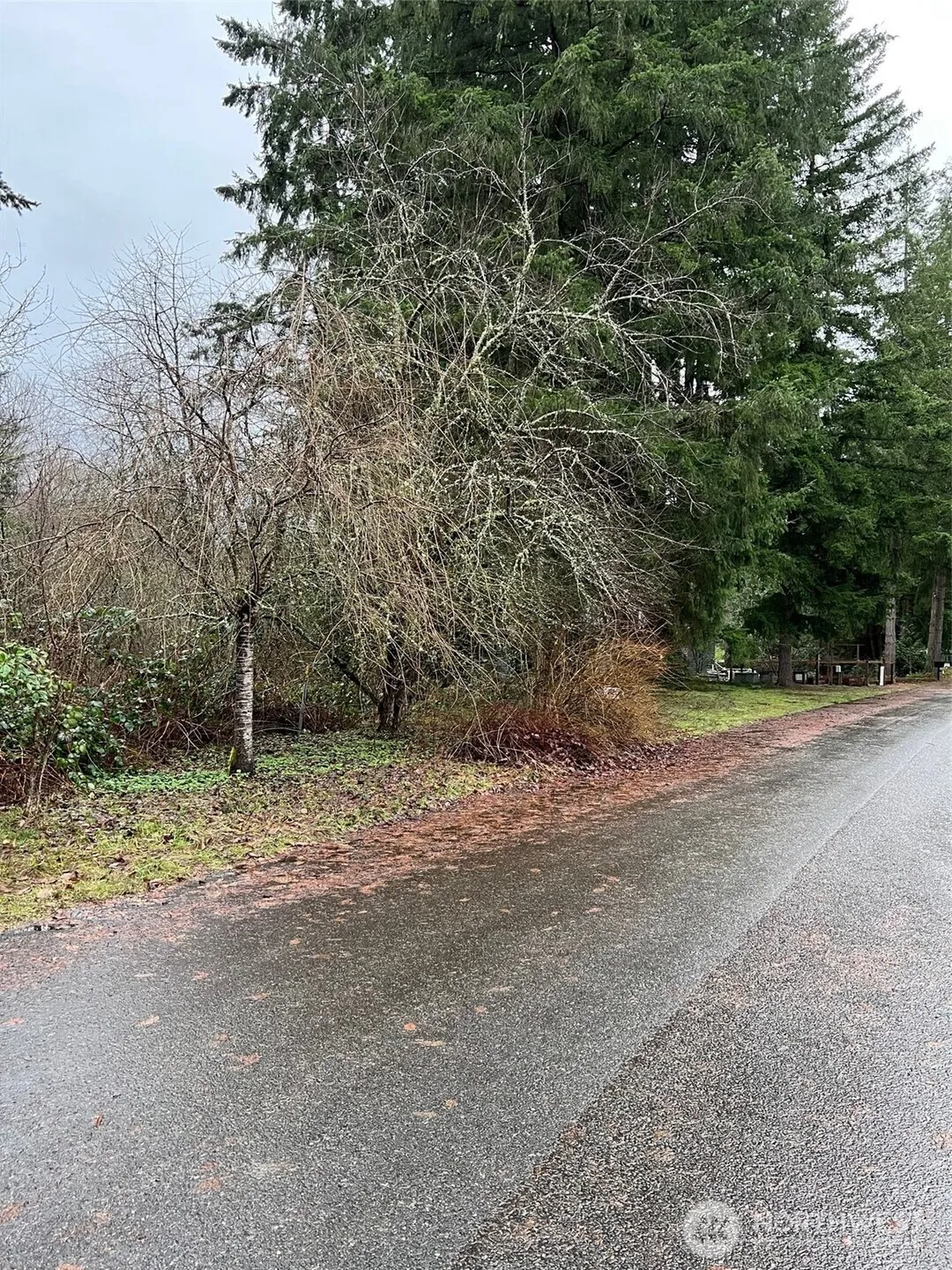 Property photo for 186 Xx Ne 161st Place, Woodinville photo 3