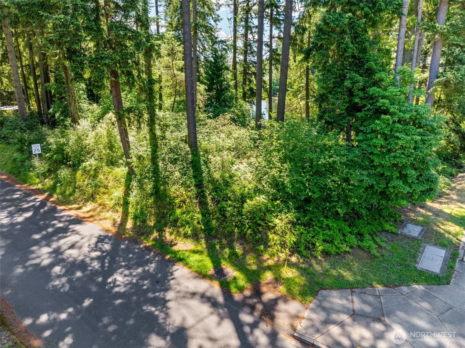Property photo for 6235 6th Avenue Se, Lacey photo 5
