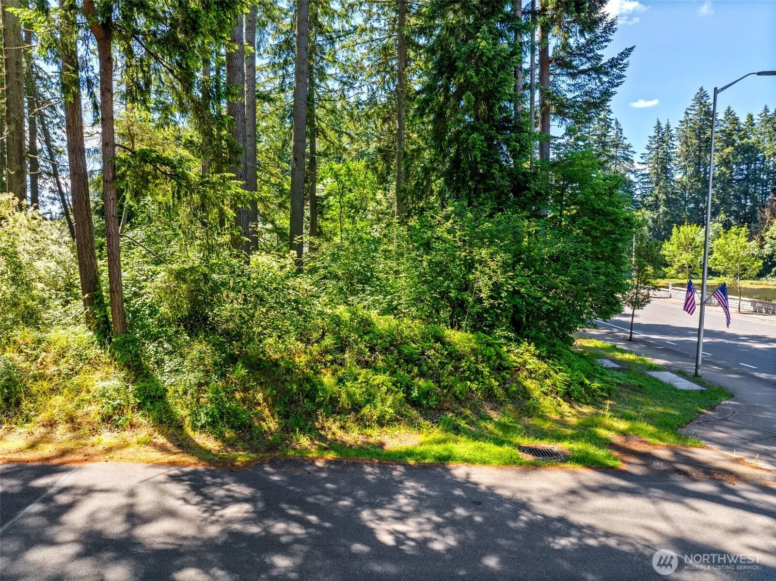 Property photo for 6235 6th Avenue Se, Lacey photo 4