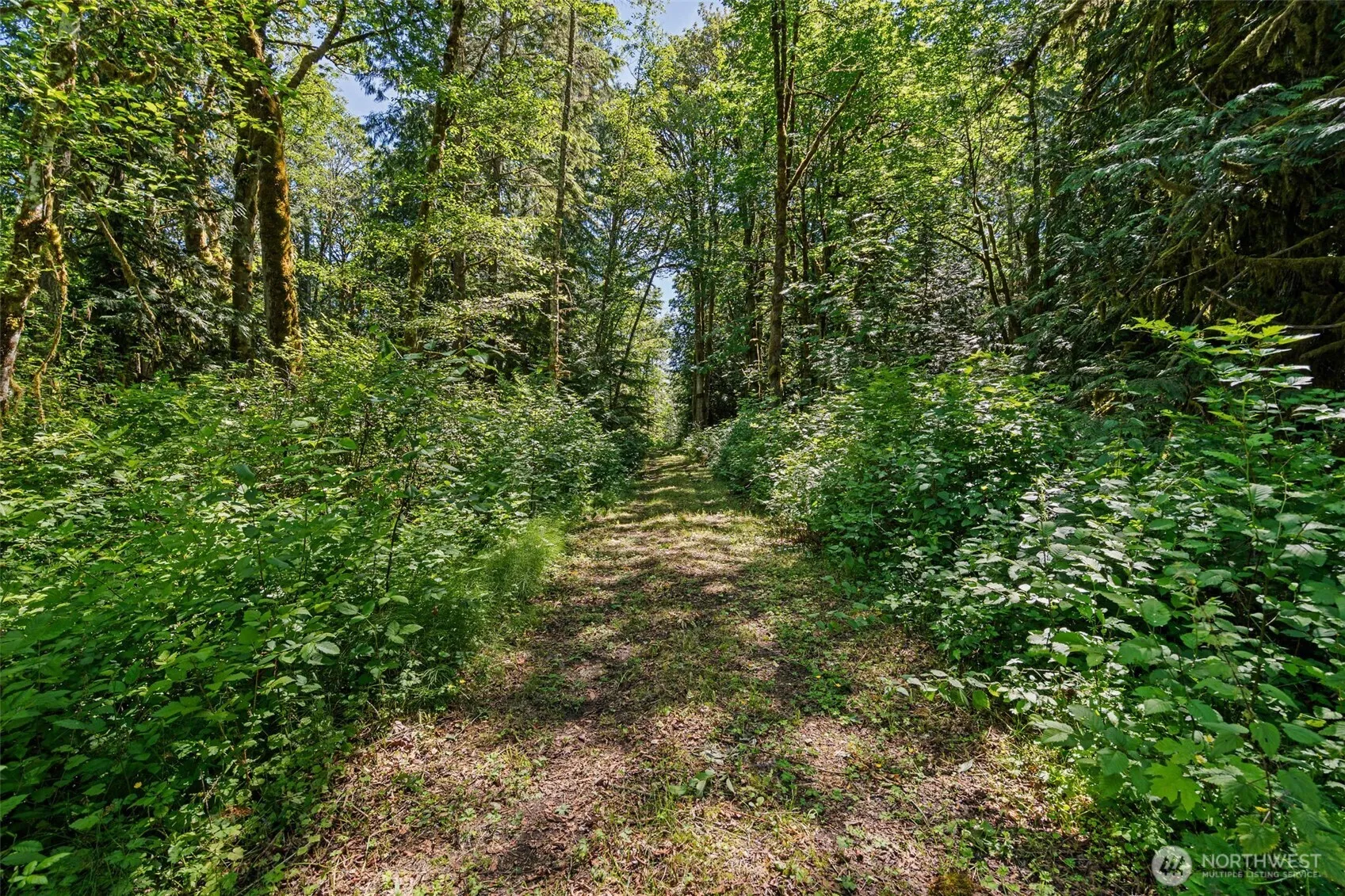 Property photo for 4635 Forest View Lane Se, Port Orchard photo 5