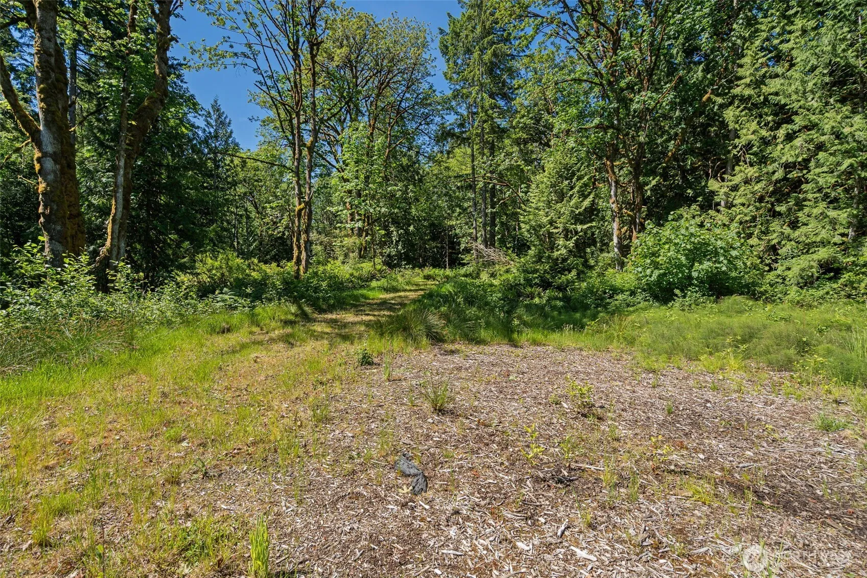 Property photo for 4635 Forest View Lane Se, Port Orchard photo 3