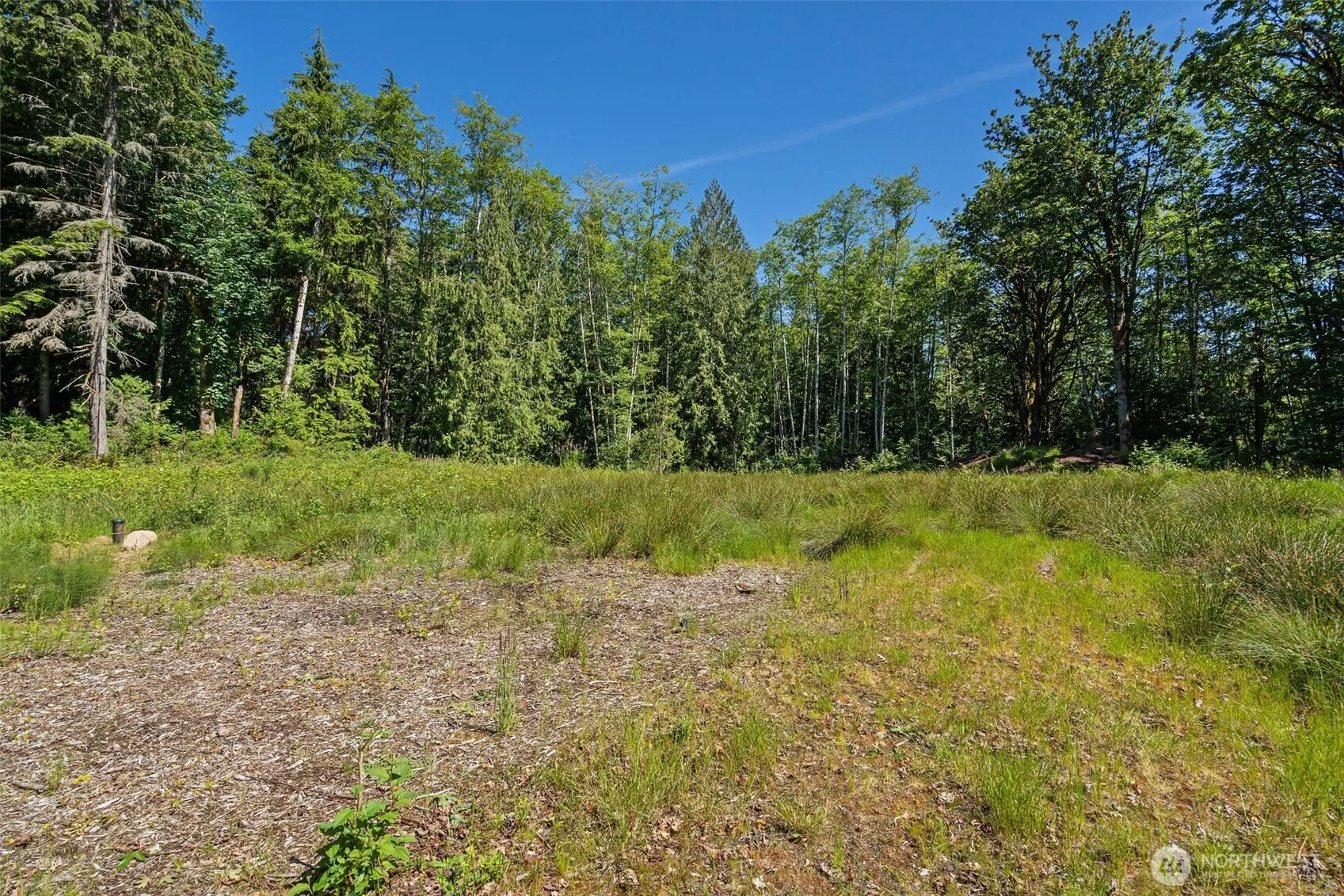 Property photo for 4635 Forest View Lane Se, Port Orchard photo 2