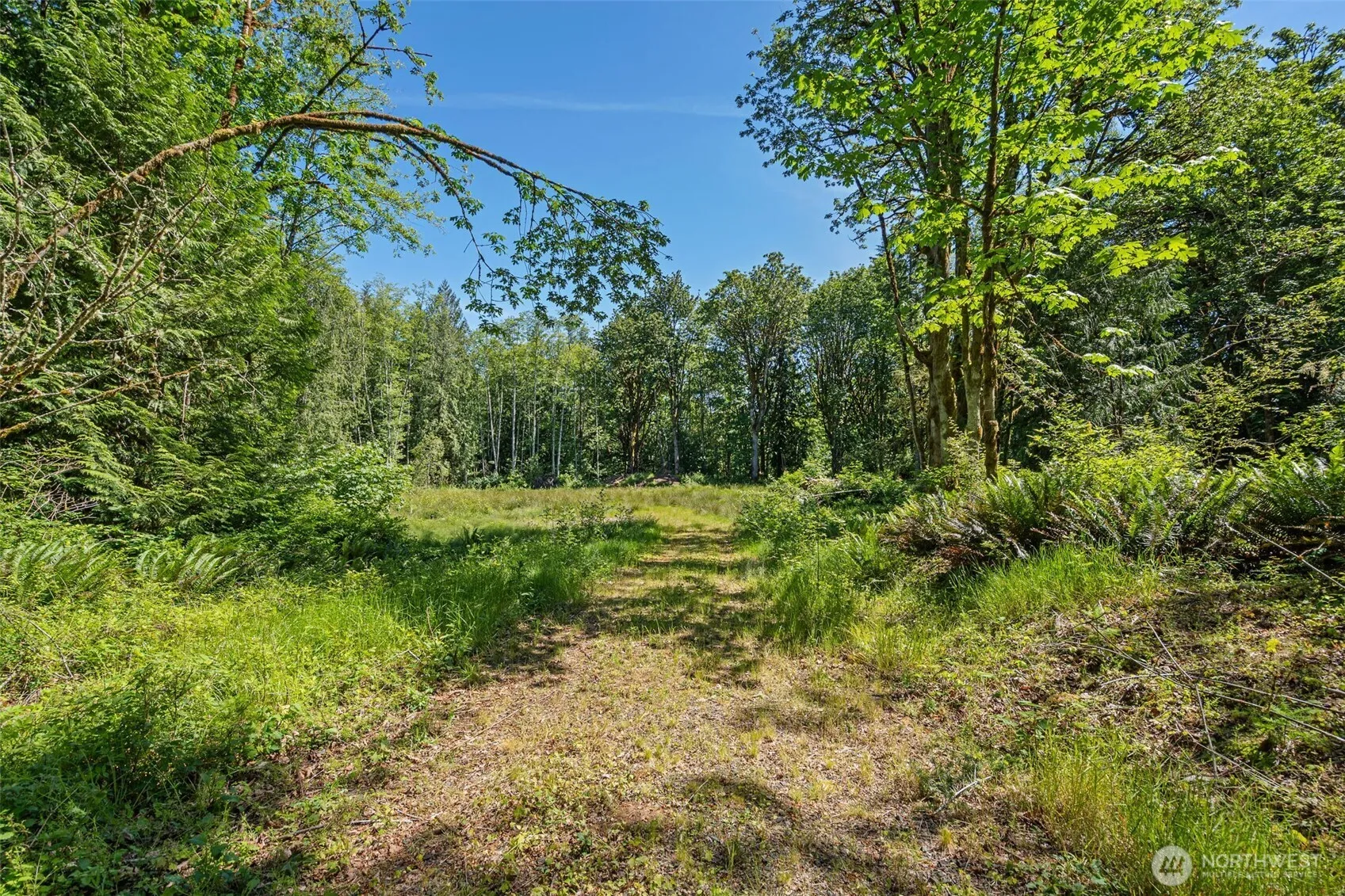 Property photo for 4635 Forest View Lane Se, Port Orchard