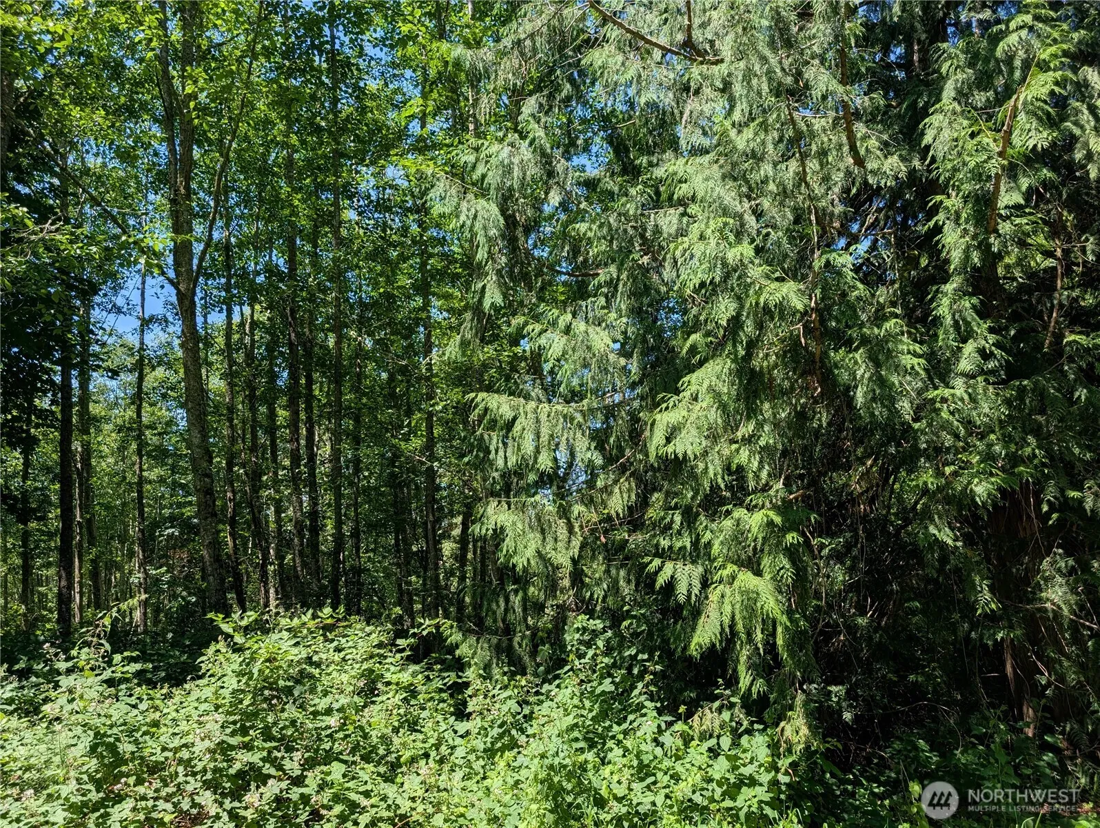 Property photo for 21646 Snowden Drive, Mount Vernon