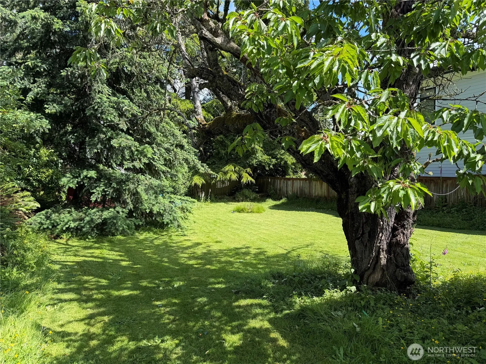 Property photo for 3218 Ne 97th Street, Seattle photo 2