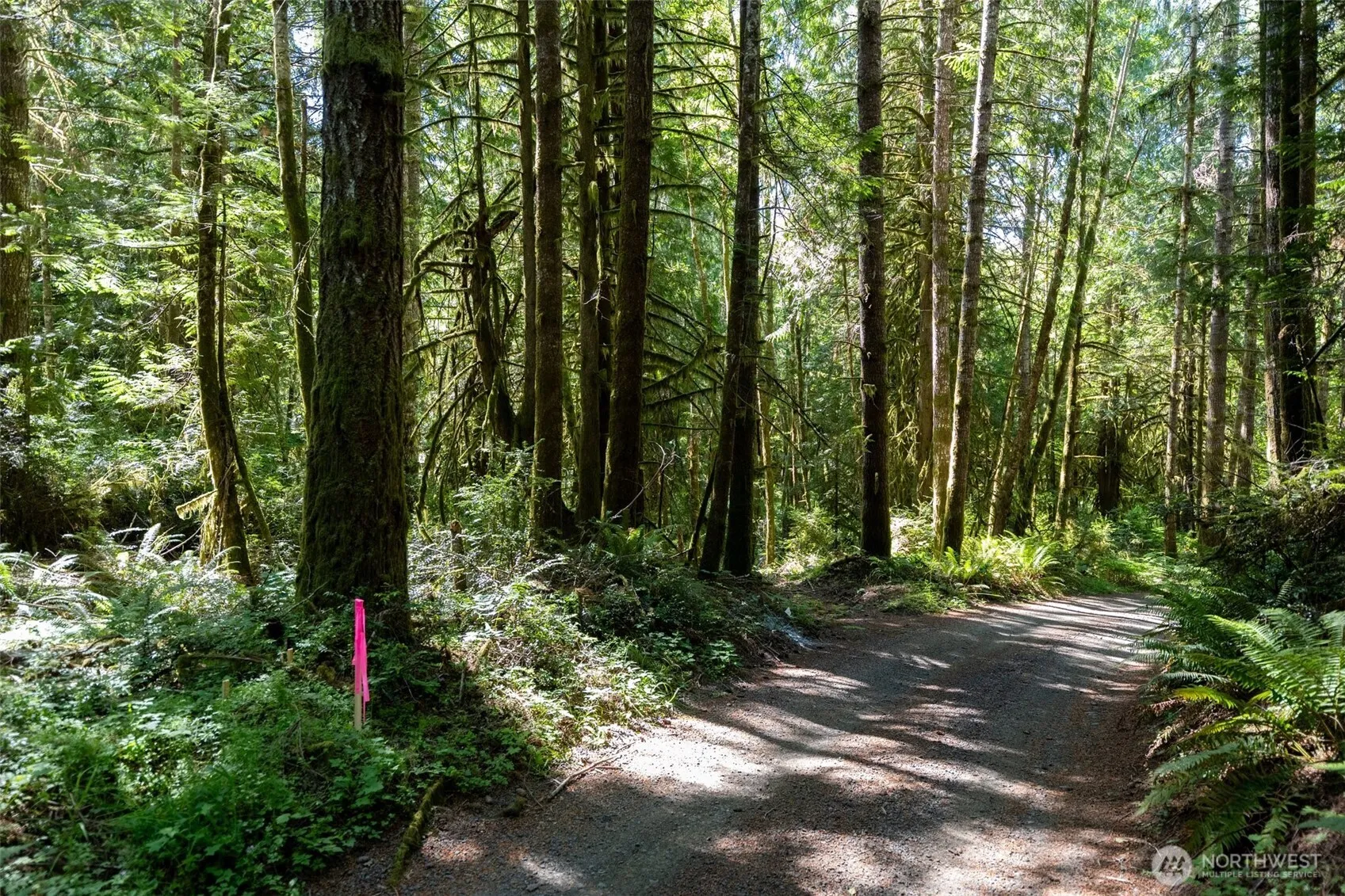 Property photo for 1781 E Sunset Hill Road, Shelton