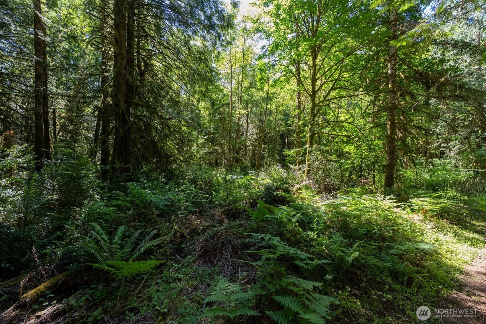 Property photo for 1781 E Sunset Hill Road, Shelton photo 4