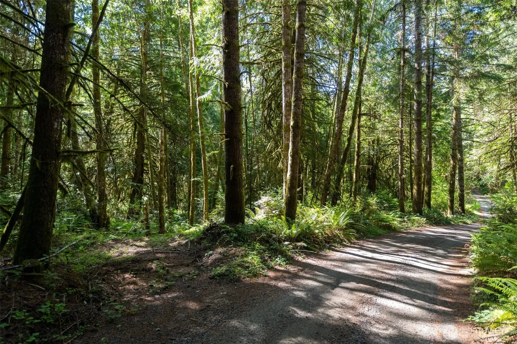 Property photo for 1781 E Sunset Hill Road, Shelton photo 2