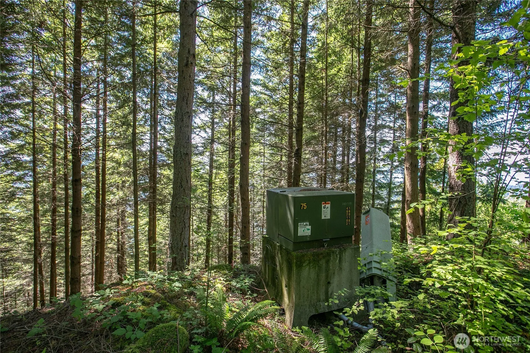 Property photo for 1543 Chuckanut Crest Drive, Bellingham photo 5