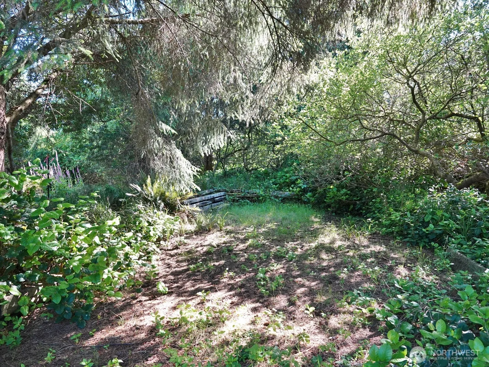 Property photo for 223 Muskrat Court Sw, Ocean Shores photo 3