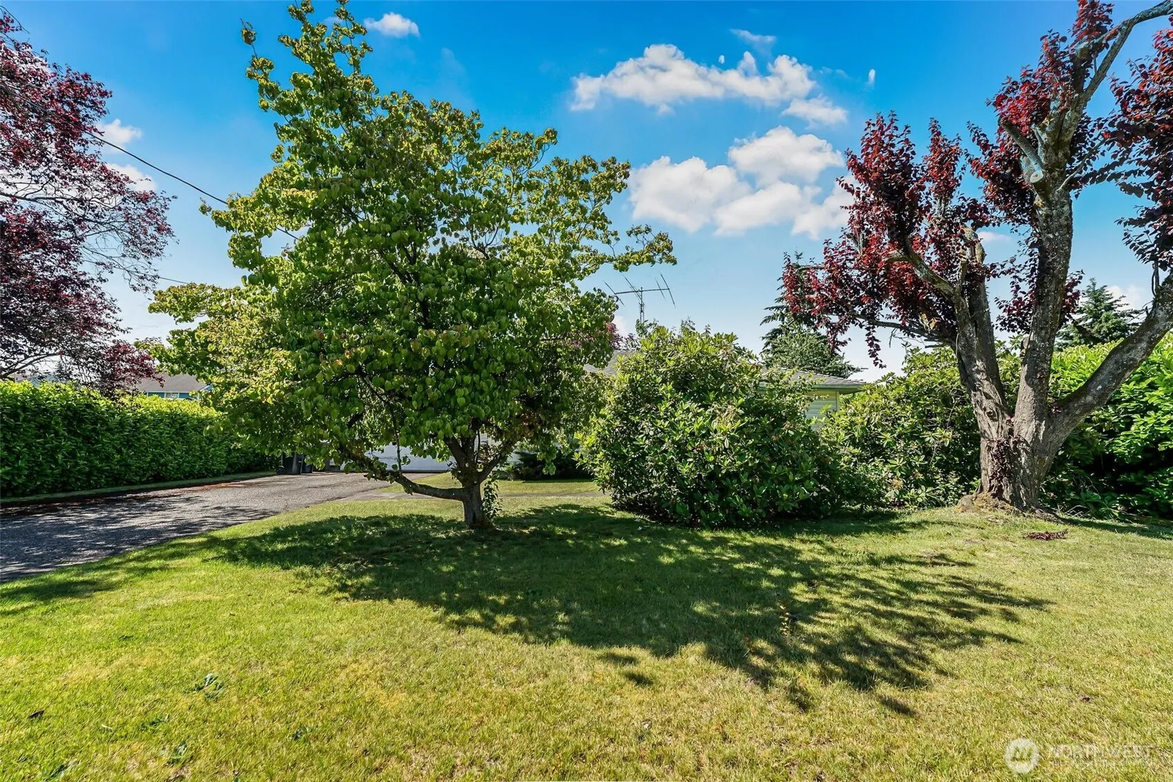 Property photo for 1722 E 65th Street, Tacoma photo 3