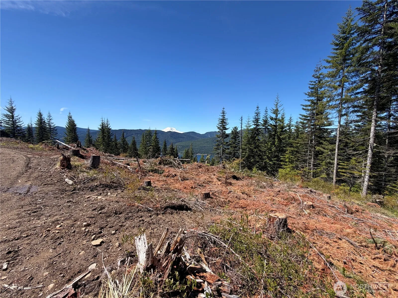Property photo for 0 Fs Rd 124, Snoqualmie Pass photo 2