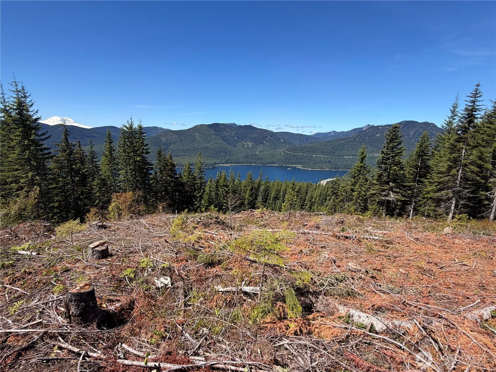 Property photo for 0 Fs Rd 124, Snoqualmie Pass