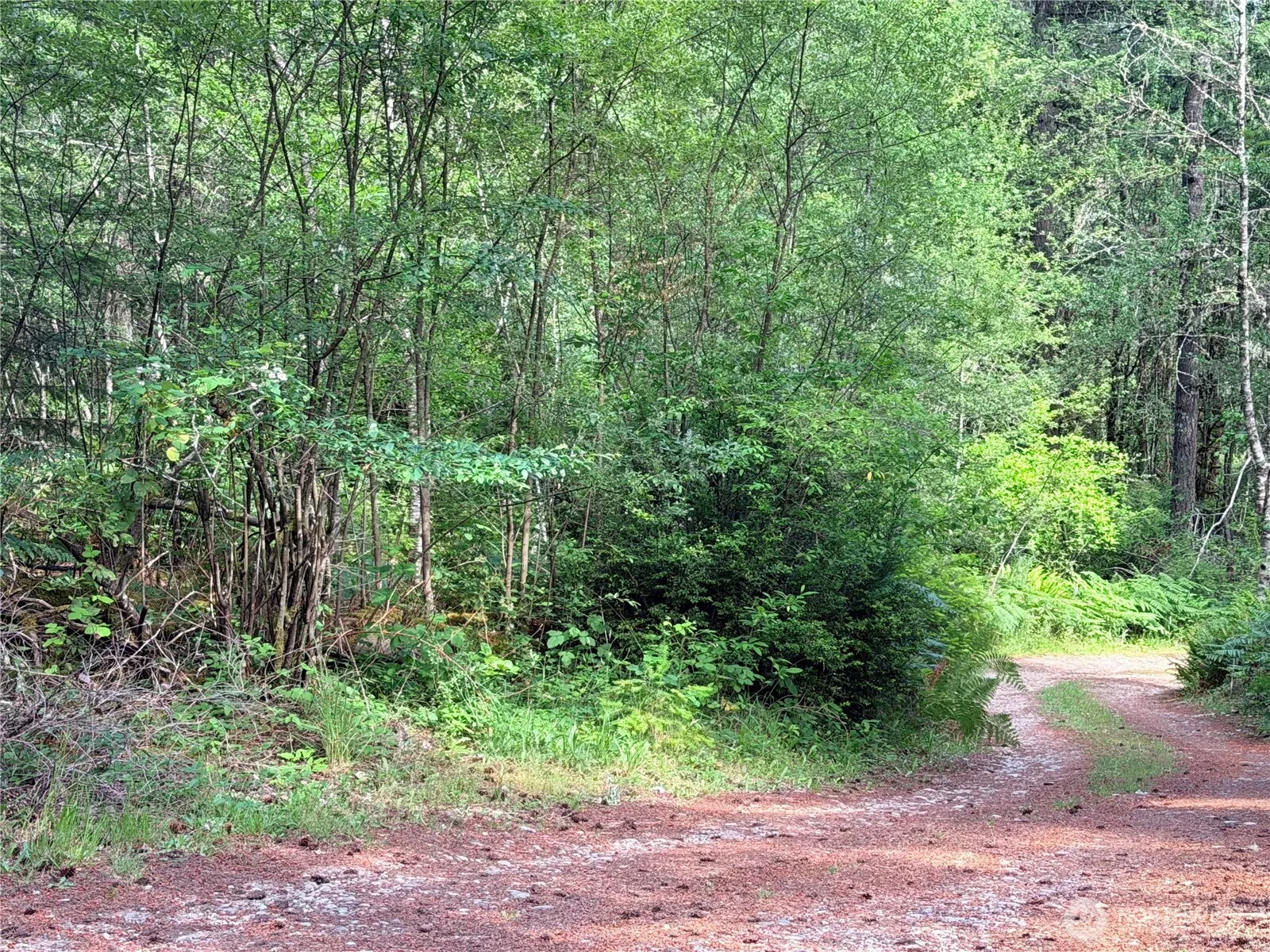 Property photo for 5445 Sw County Line Road, Port Orchard photo 3