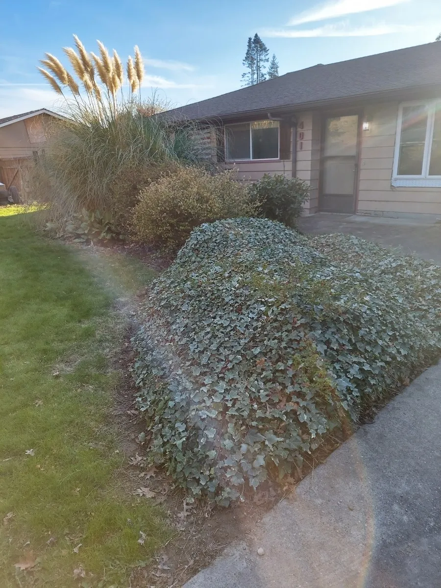 Property photo for 401 S Gardner, Burlington