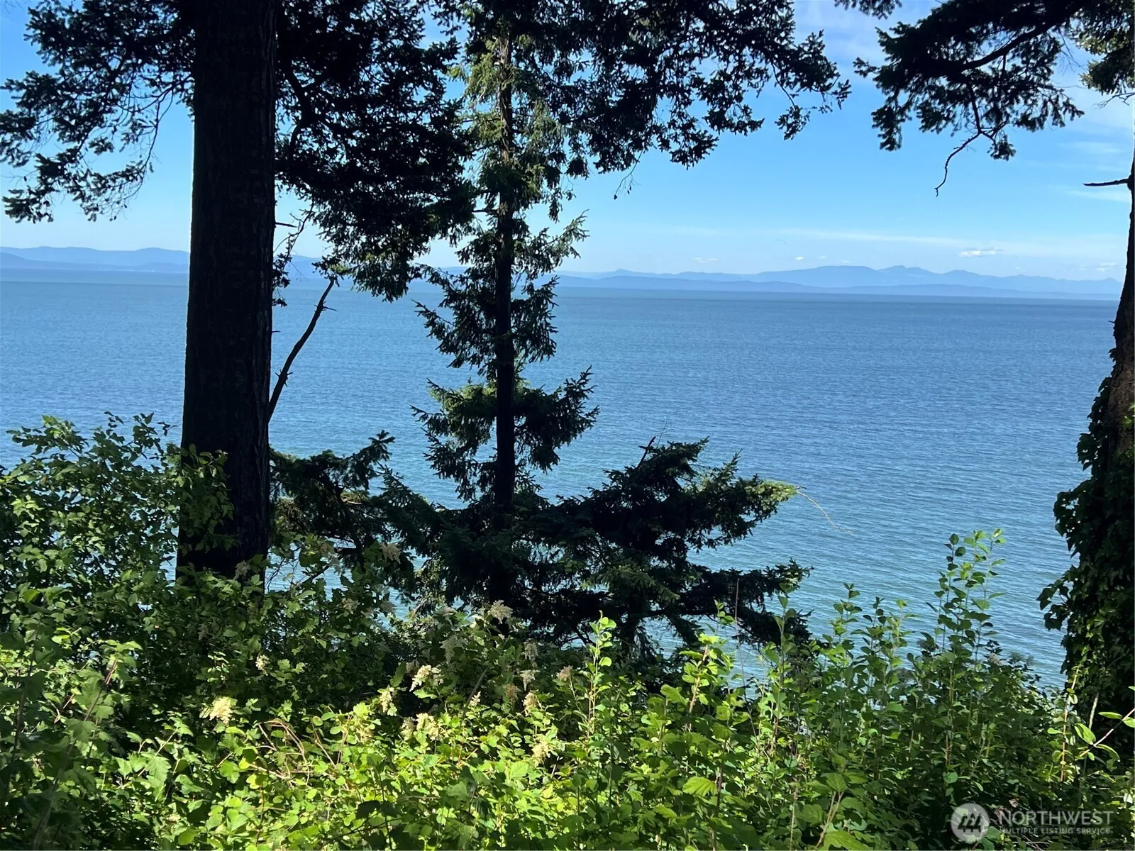 Property photo for 297 Marine Drive, Point Roberts photo 2