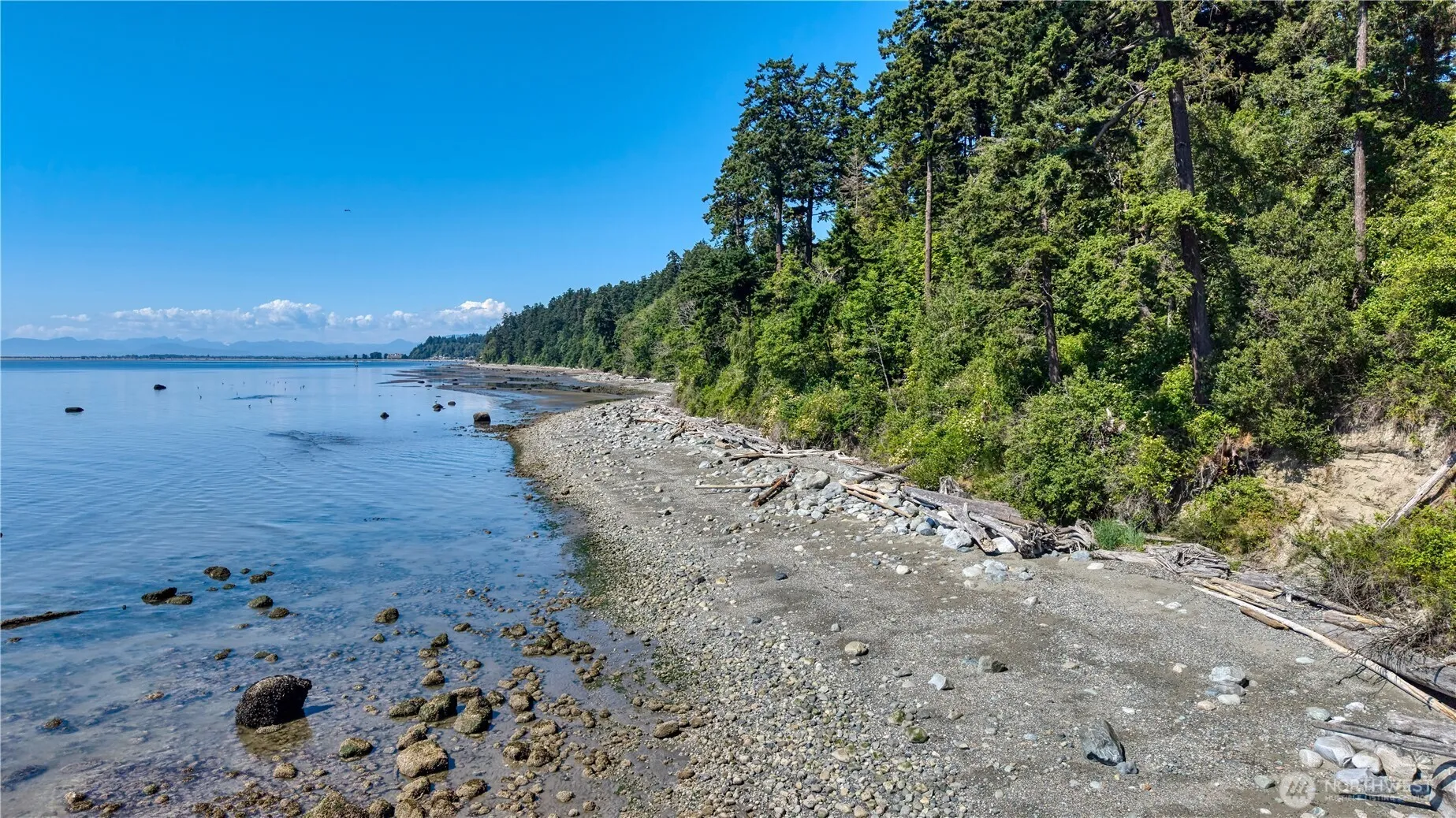 Property photo for 297 Marine Drive, Point Roberts photo 4