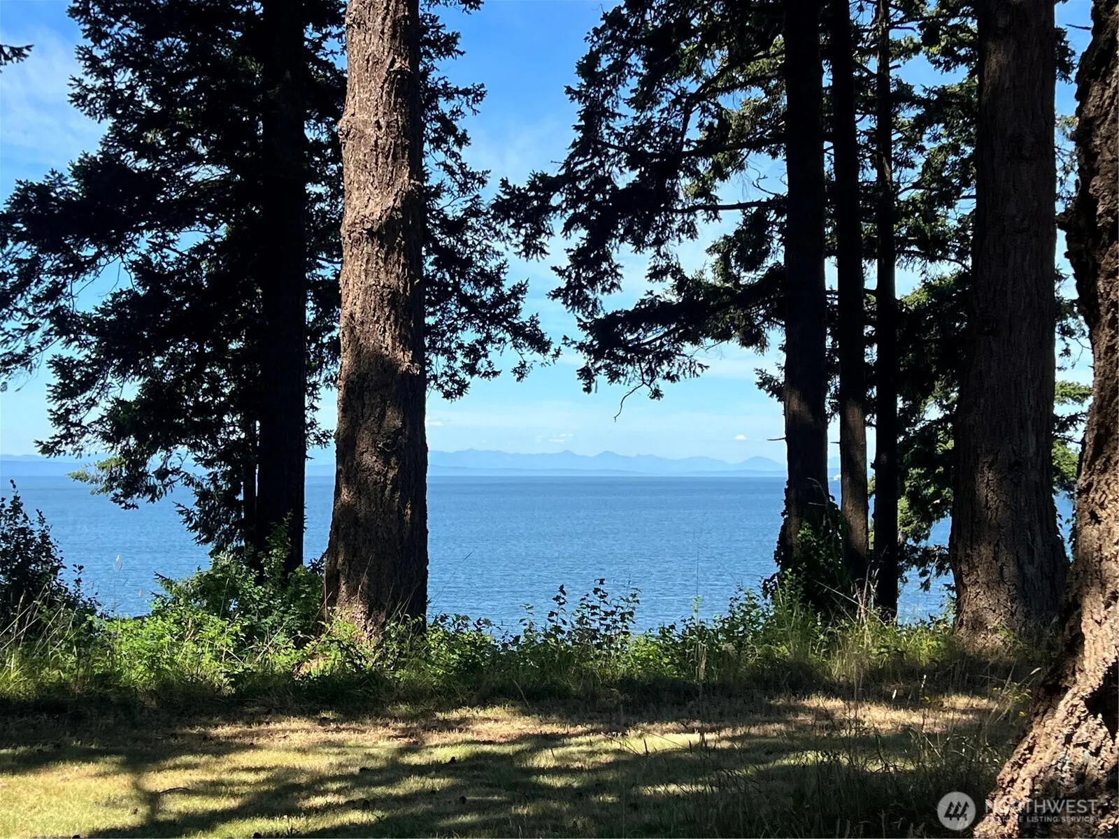 Property photo for 297 Marine Drive, Point Roberts photo 3