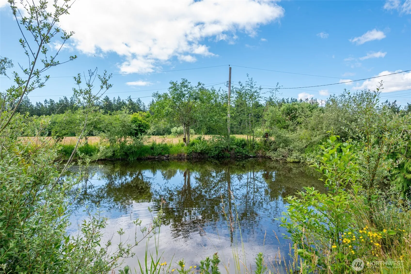 Property photo for 2842 Hunt Road, Oak Harbor photo 5