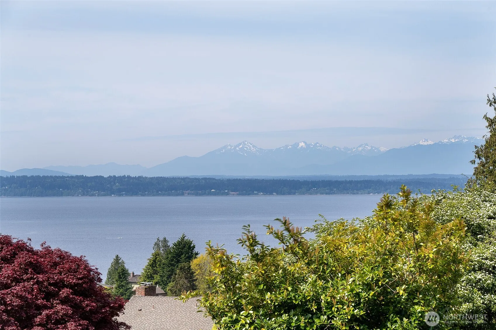 Property photo for 13015 8th Avenue Nw, Seattle
