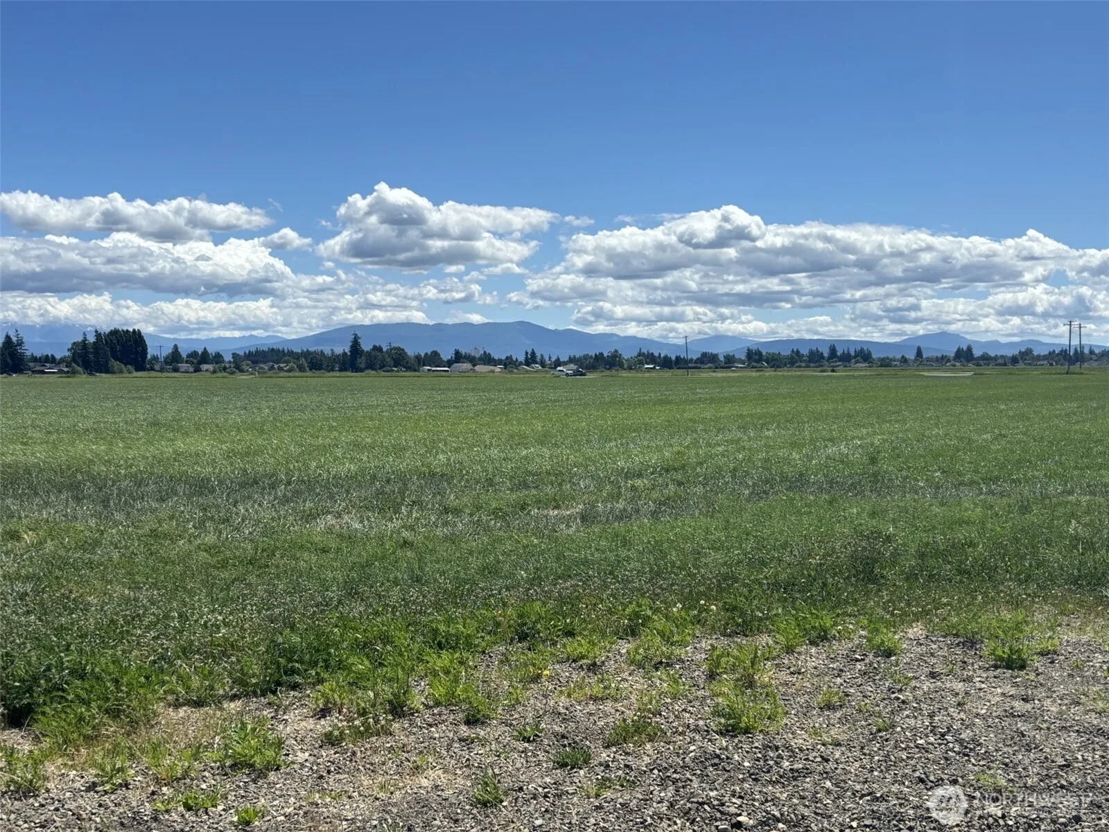 Property photo for 8976 Double Ditch Road, Lynden photo 5