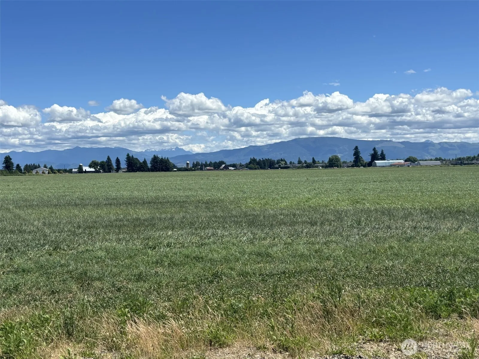 Property photo for 8976 Double Ditch Road, Lynden photo 4