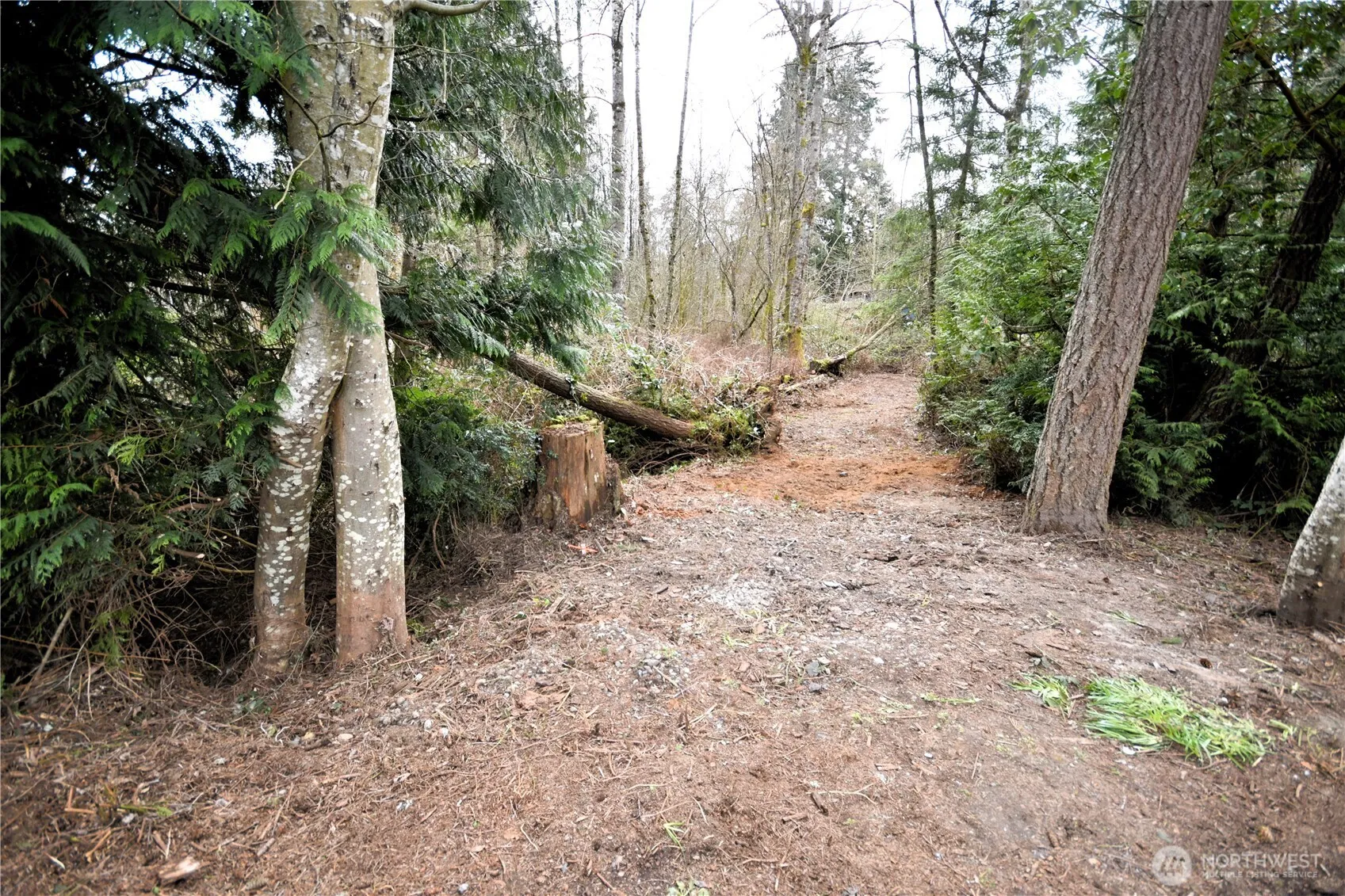 Property photo for 0 Se Cleveland Avenue, Port Orchard
