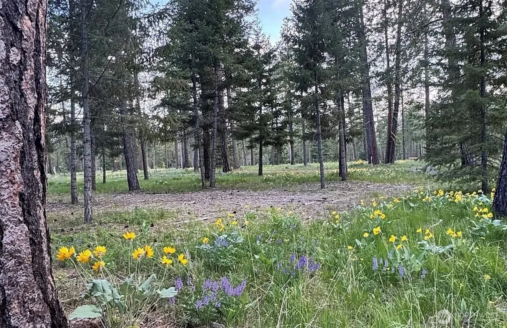 Property photo for 331 Wanawish Loop, Cle Elum