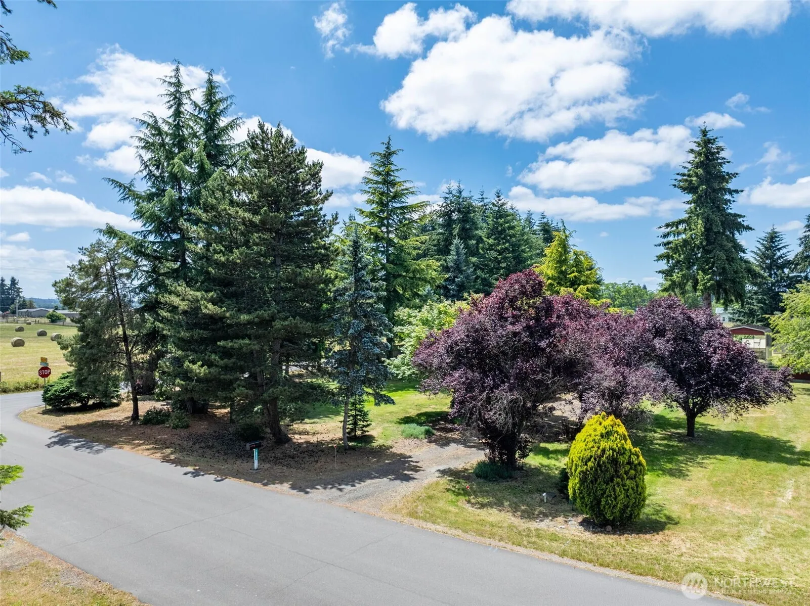 Property photo for 16239 Prairie Villa Street Sw, Tenino photo 4