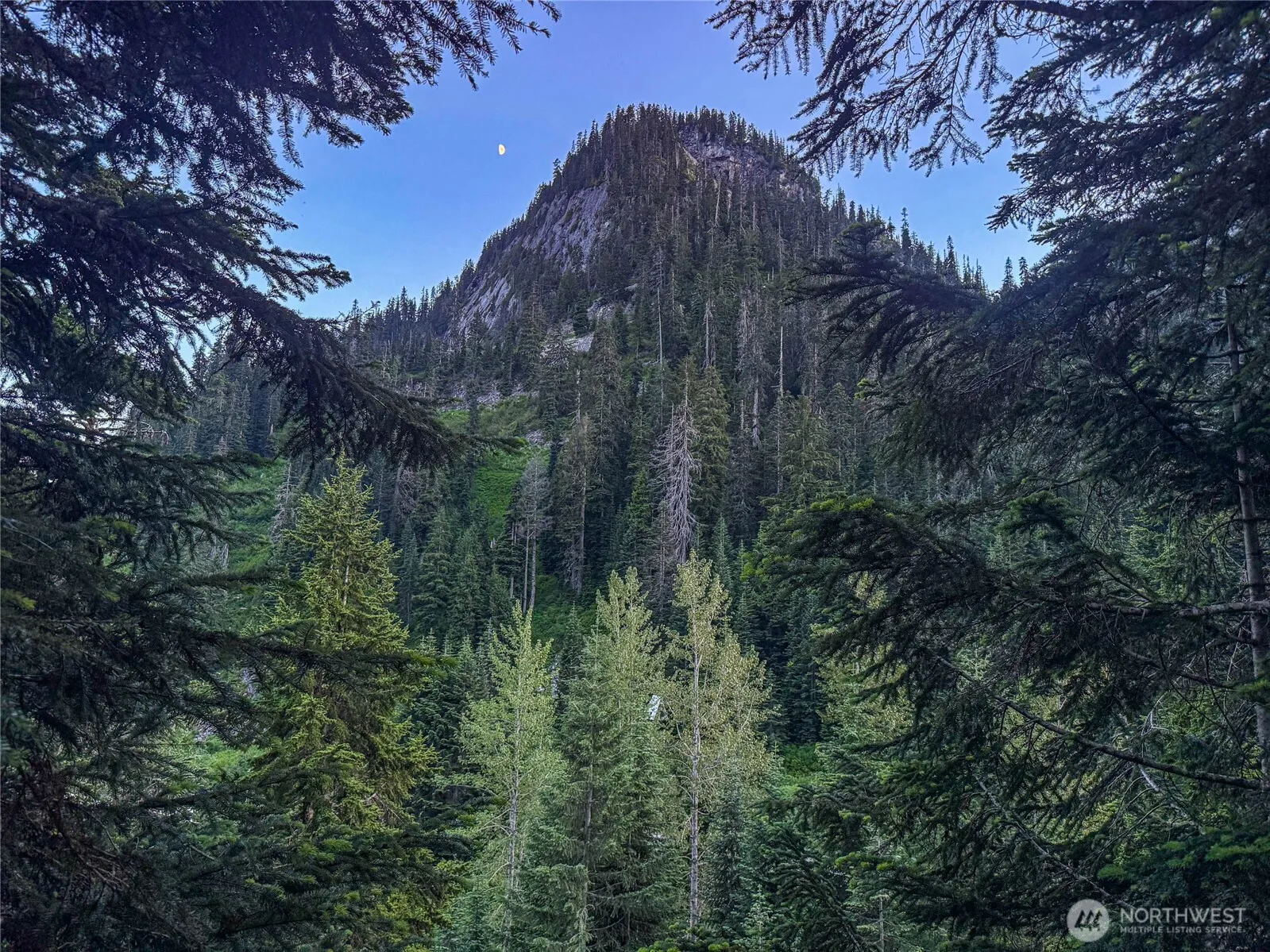 Property photo for 17800 Alpental Access Road Se #3102, North Bend photo 2