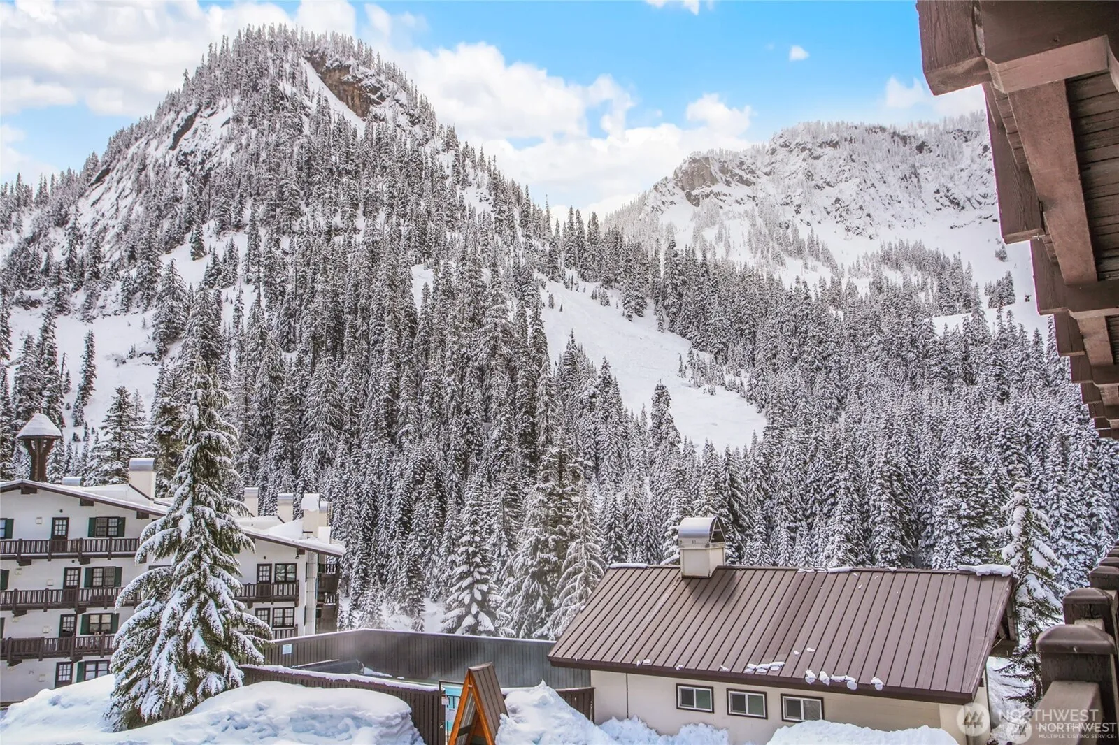 Property photo for 17800 Alpental Access Road Se #3102, North Bend