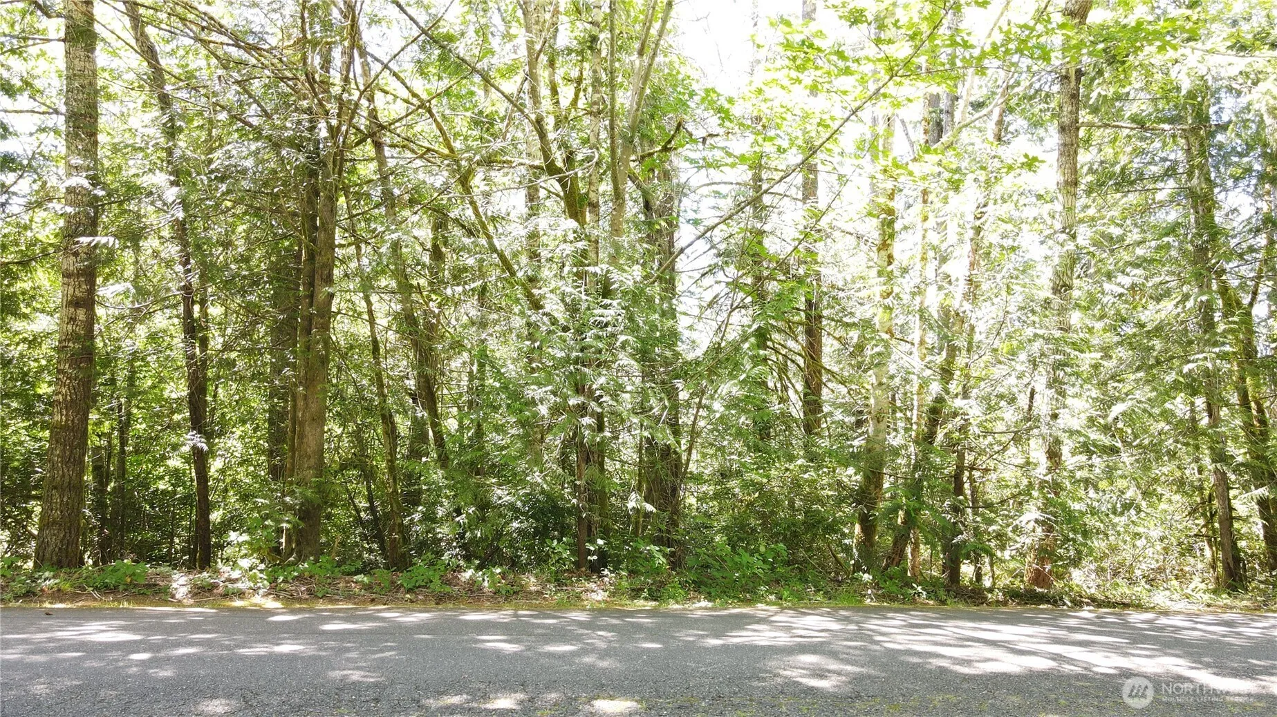 Property photo for 0 E Geist Point Rd Road, Shelton photo 5