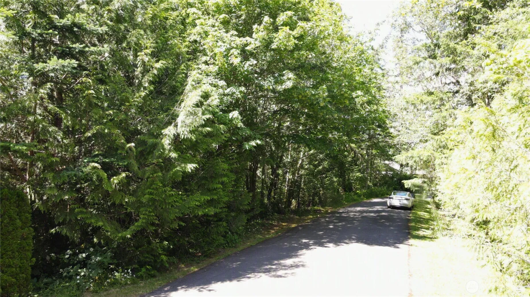 Property photo for 0 E Geist Point Rd Road, Shelton photo 4