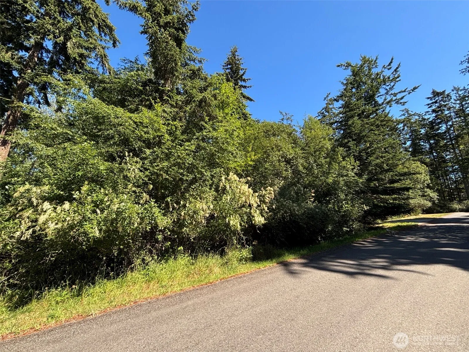 Property photo for 4154 Gise Street, Port Townsend photo 3