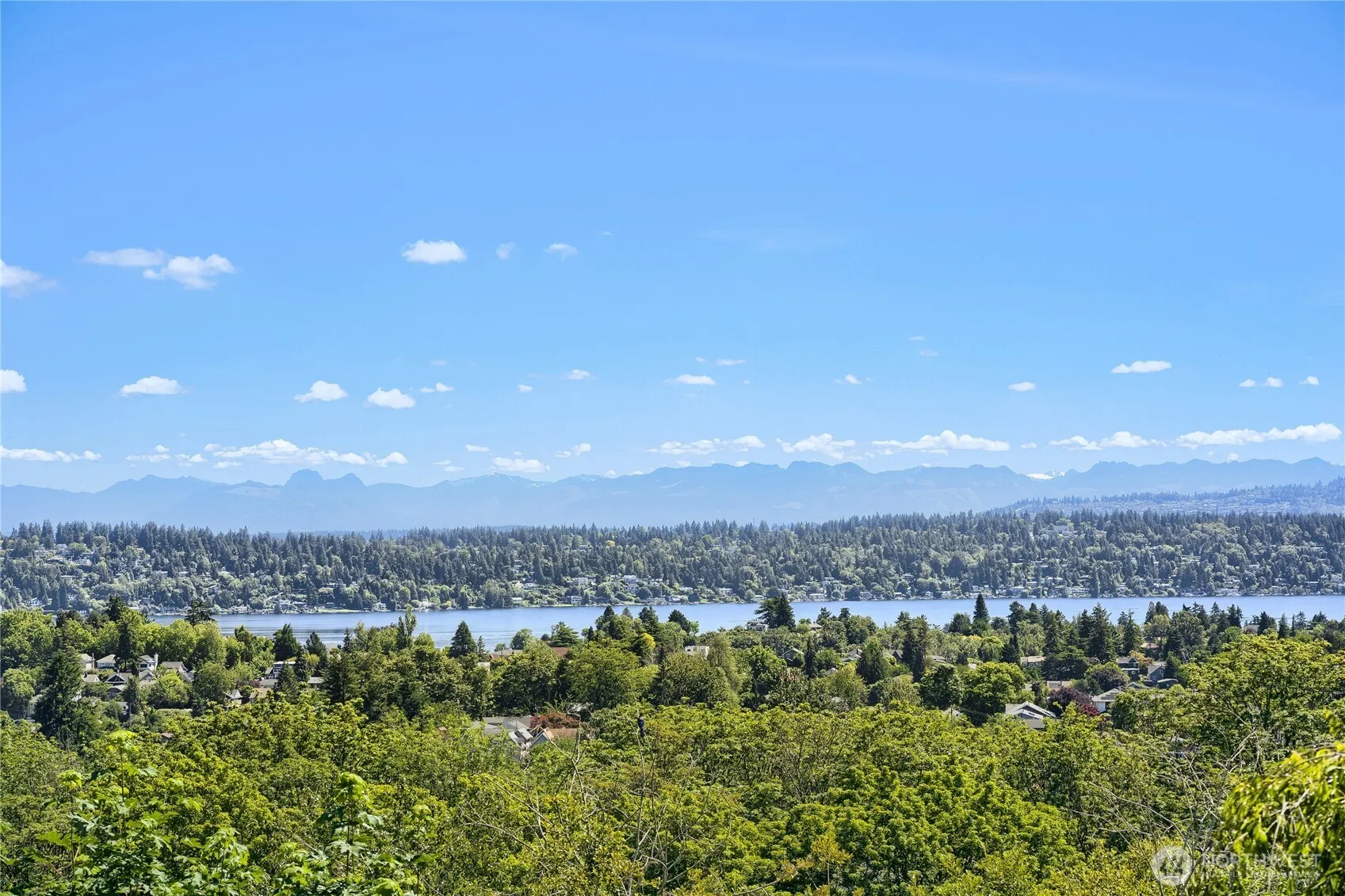 Property photo for 4054 24th Place S, Seattle photo 3
