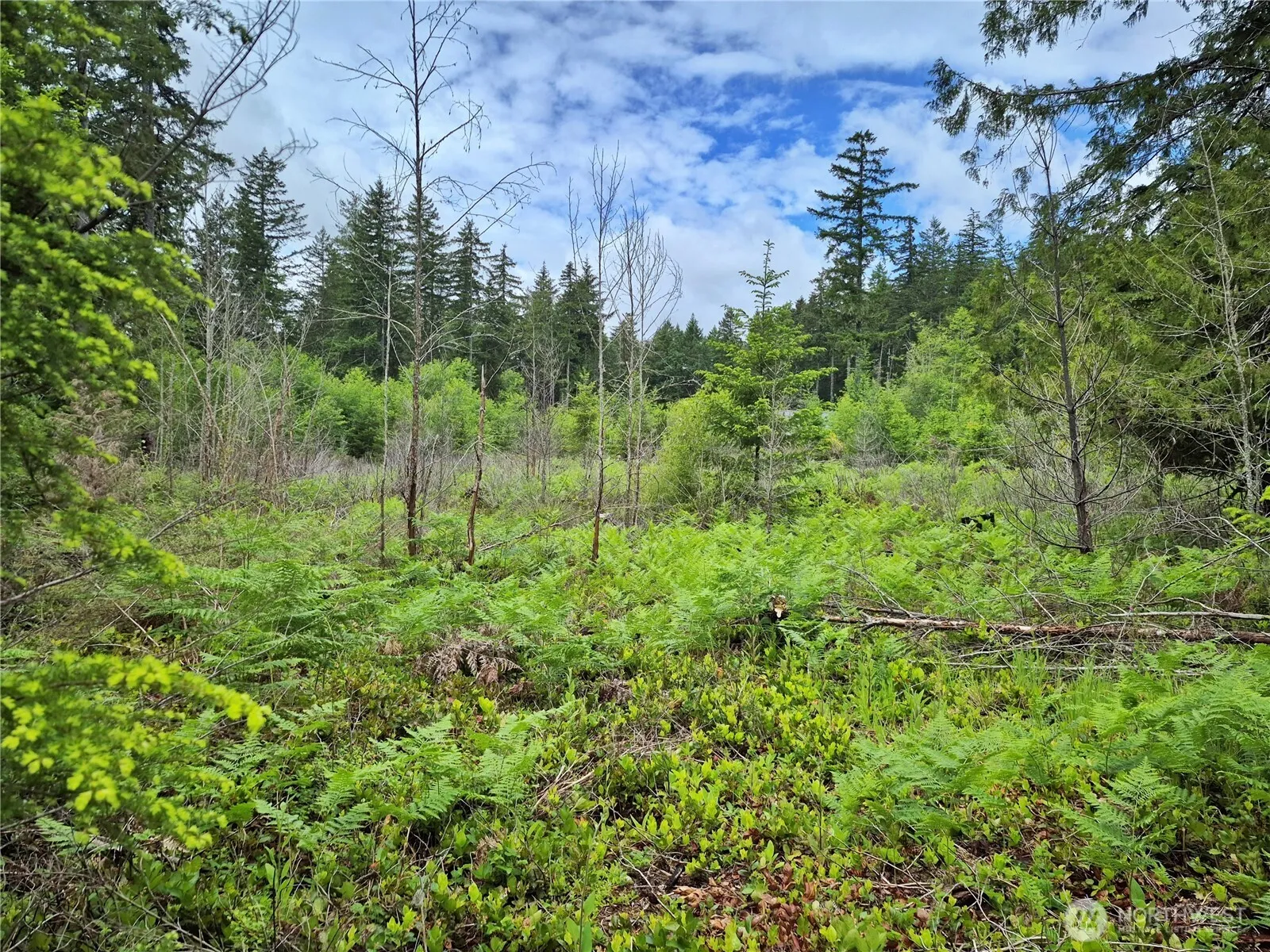Property photo for 7 W Wilderness Lane, Seabeck