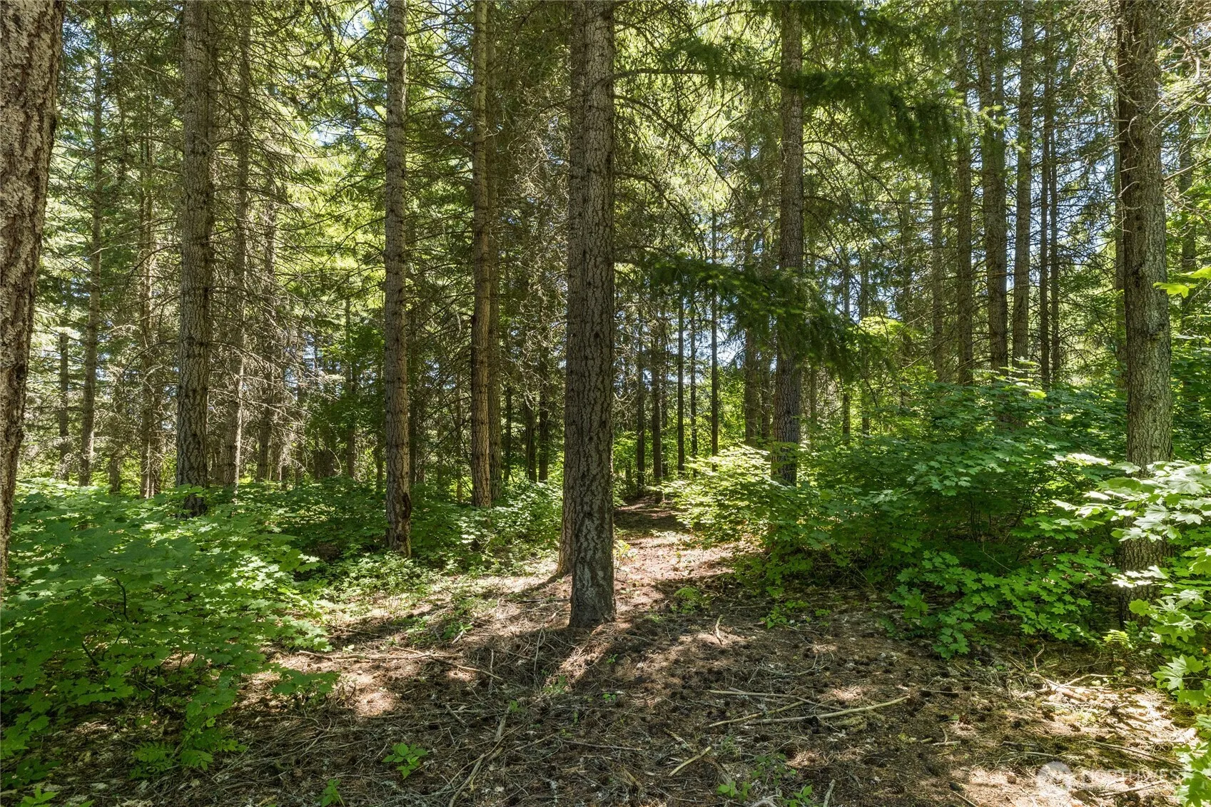 Property photo for 30 Scatter Creek Loop, Cle Elum photo 5