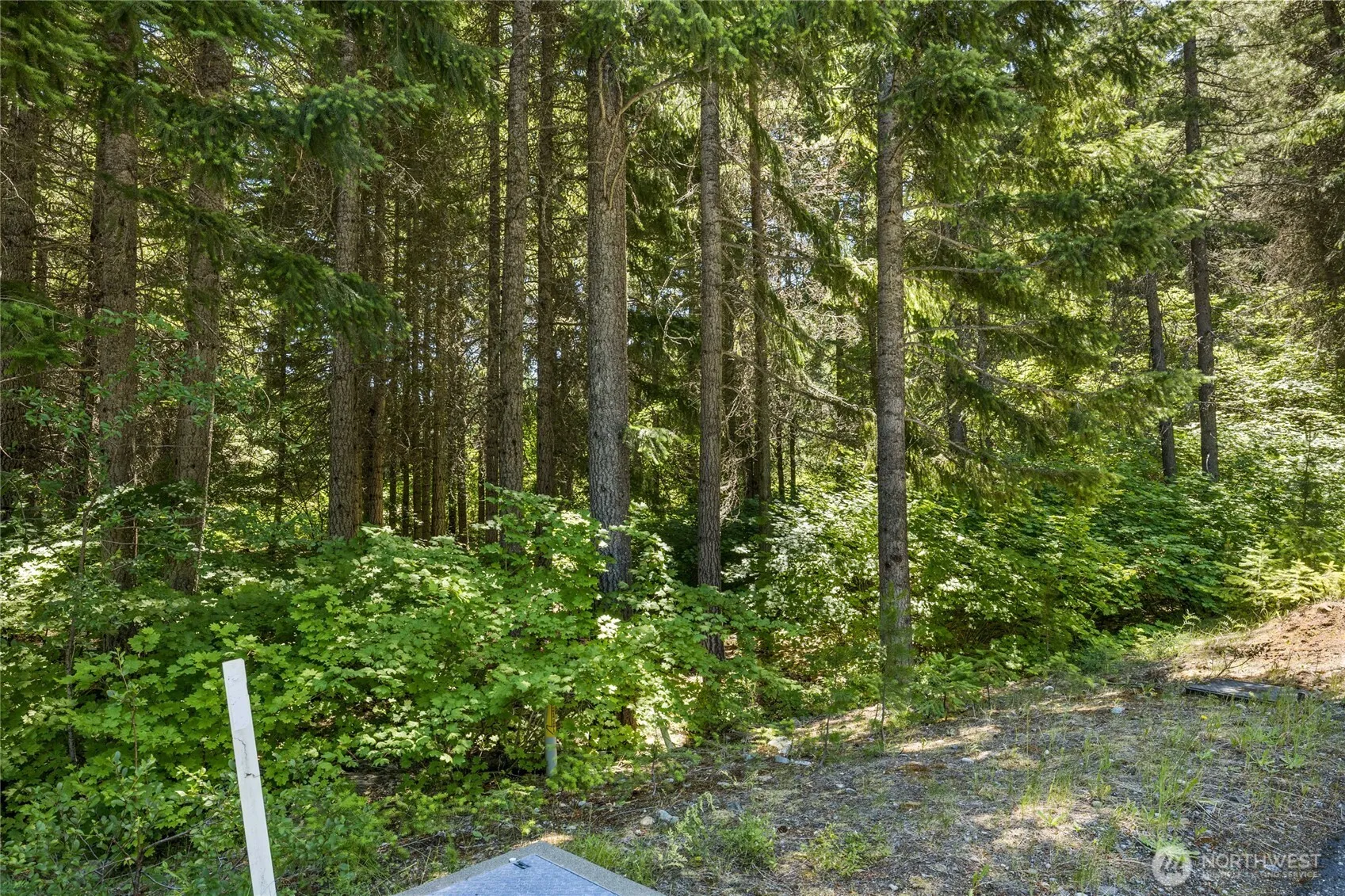 Property photo for 30 Scatter Creek Loop, Cle Elum photo 3