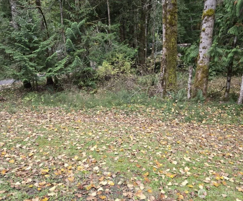 Property photo for 8 Huckleberry Court, Bellingham
