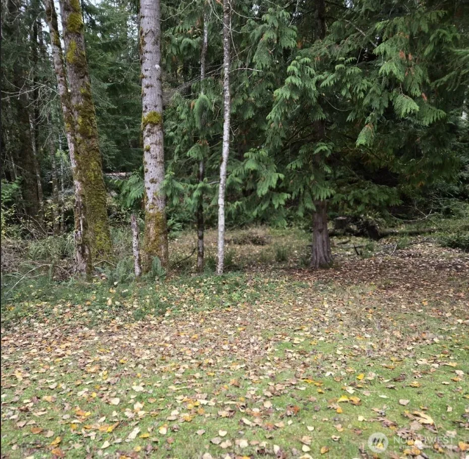 Property photo for 8 Huckleberry Court, Bellingham photo 3