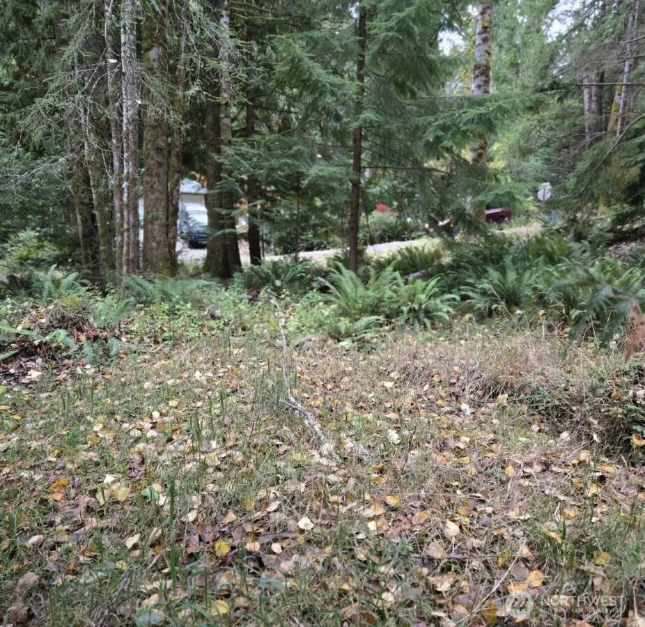 Property photo for 8 Huckleberry Court, Bellingham photo 5