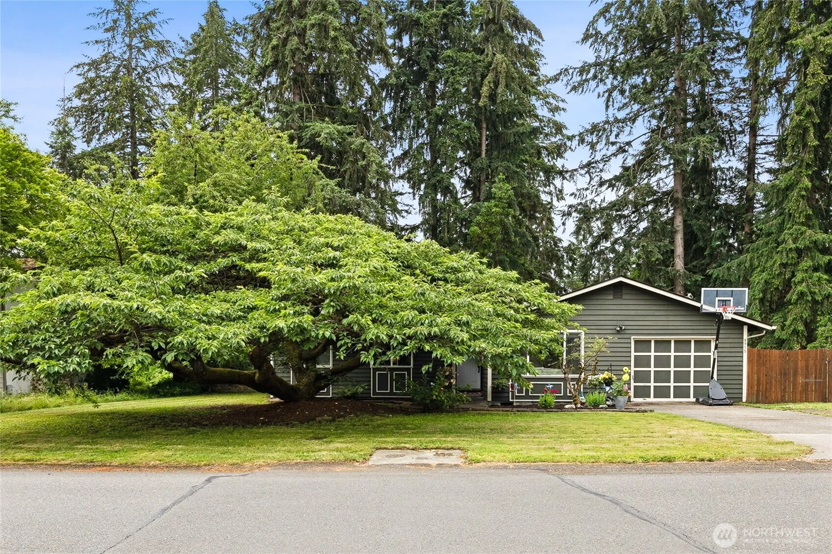Property photo for 8915 Quinault Drive Ne, Olympia photo 2