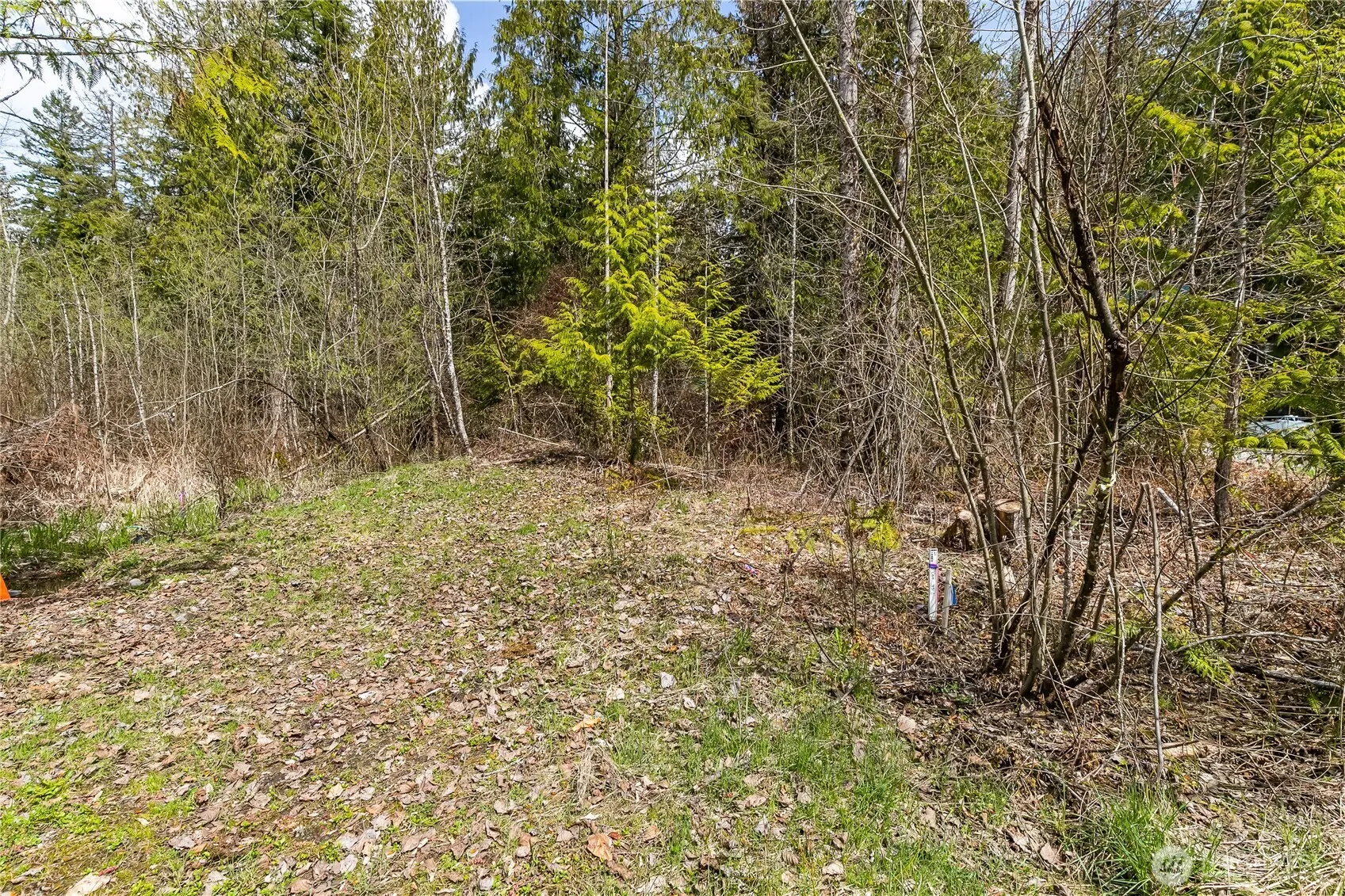 Property photo for 17045 Iceberg Road, Glacier photo 2