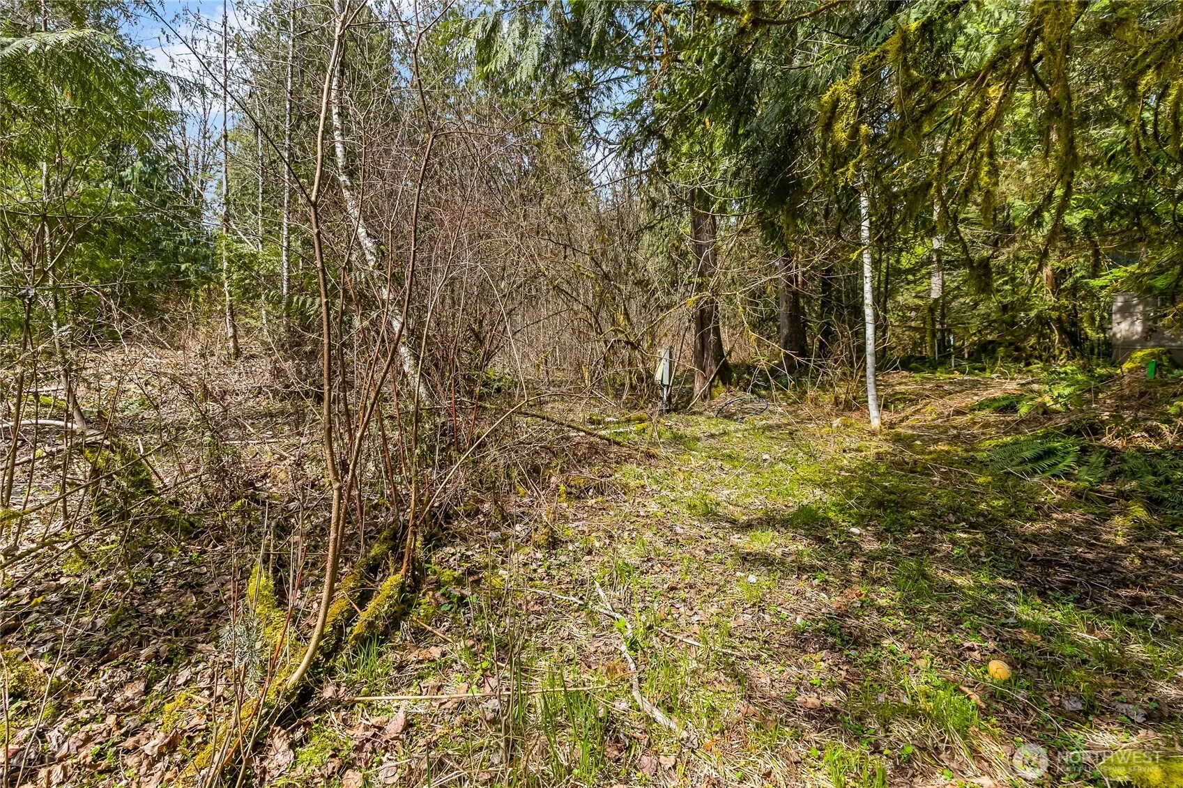 Property photo for 17045 Iceberg Road, Glacier photo 4