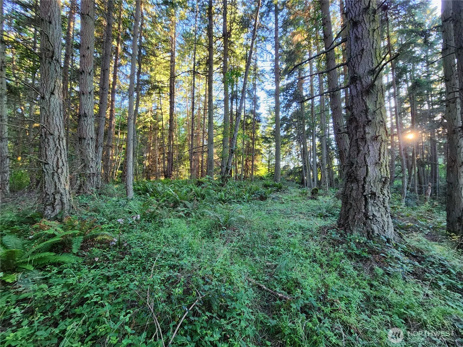 Property photo for 98249 Lancaster Rd, Freeland