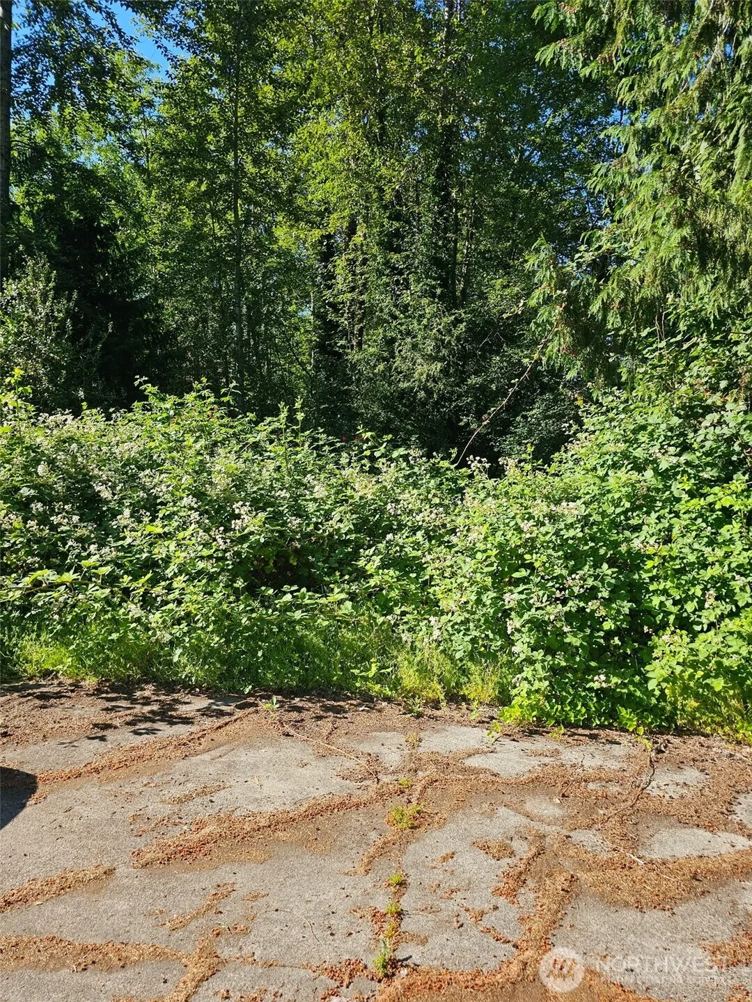 Property photo for 178 54th Place Sw, Lynnwood